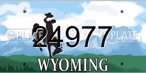 24977 Wyoming License Plate