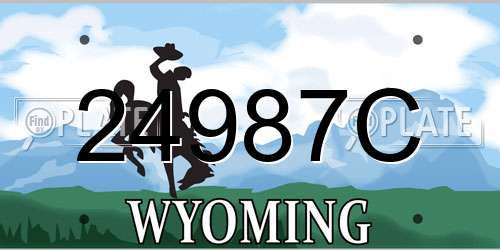 24987C Wyoming License Plate