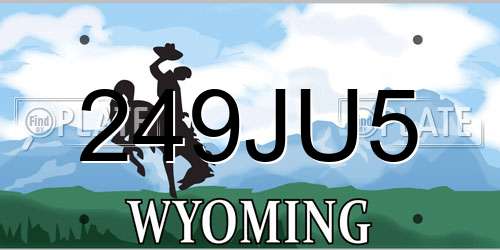 249JU5 Wyoming License Plate