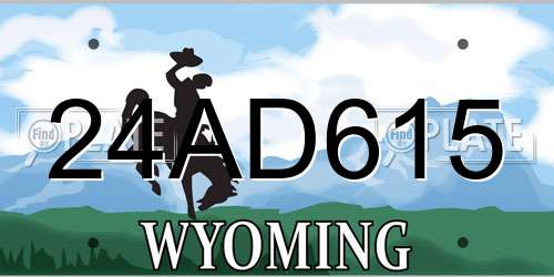 24AD615 Wyoming License Plate