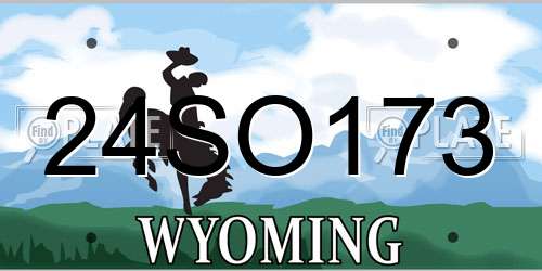24SO173 Wyoming License Plate