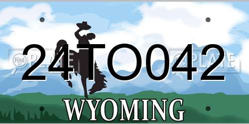 24TO042 Wyoming License Plate