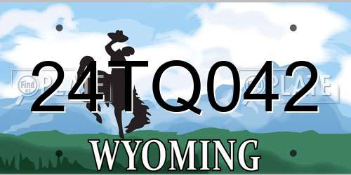 24TQ042 Wyoming License Plate