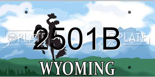 2501B Wyoming License Plate