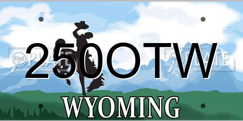250OTW Wyoming License Plate