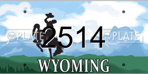2514 Wyoming License Plate