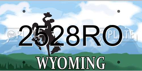 2528RO Wyoming License Plate
