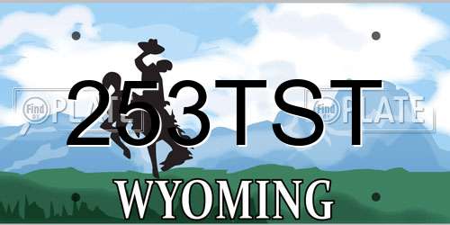 253TST Wyoming License Plate
