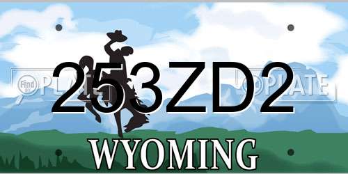 253ZD2 Wyoming License Plate