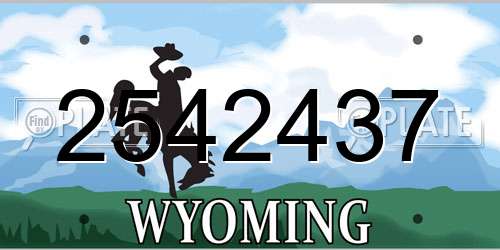2542437 Wyoming License Plate
