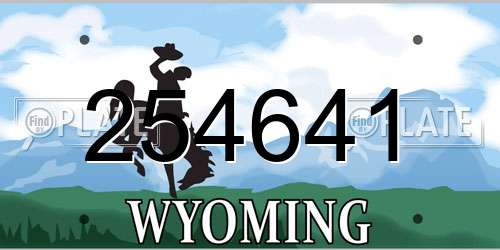 254641 Wyoming License Plate