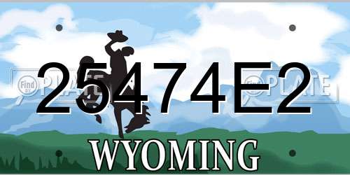 25474E2 Wyoming License Plate