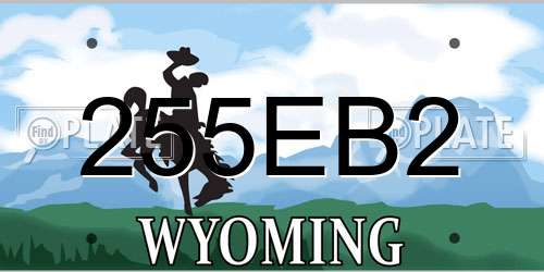255EB2 Wyoming License Plate