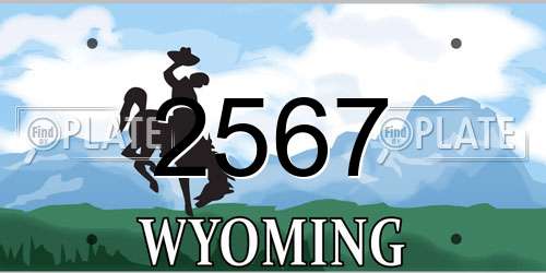2567 Wyoming License Plate