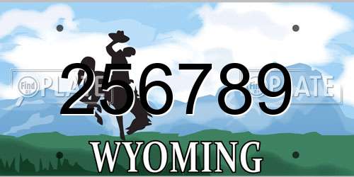 256789 Wyoming License Plate