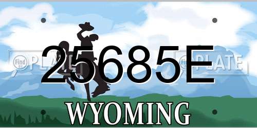 25685E Wyoming License Plate