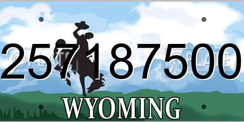 257187500 Wyoming License Plate