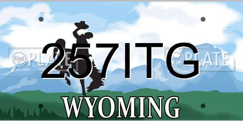 257ITG Wyoming License Plate