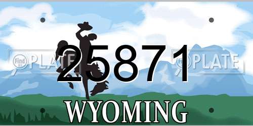 25871 Wyoming License Plate