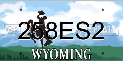 258ES2 Wyoming License Plate