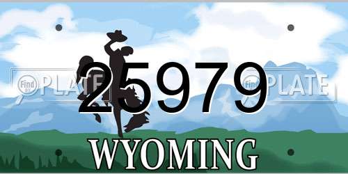 25979 Wyoming License Plate