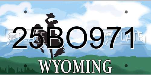 25BO971 Wyoming License Plate
