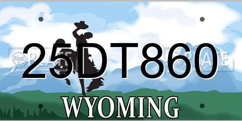 25DT860 Wyoming License Plate