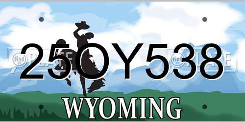 25OY538 Wyoming License Plate