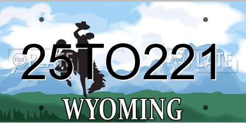 25TO221 Wyoming License Plate