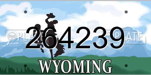 264239 Wyoming License Plate