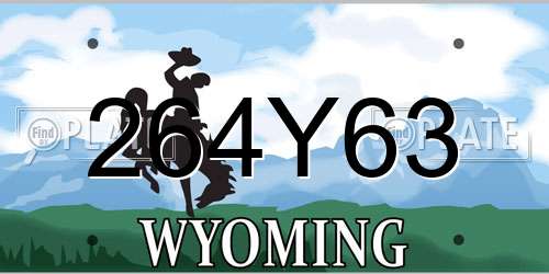 264Y63 Wyoming License Plate