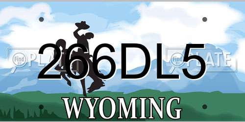 266DL5 Wyoming License Plate