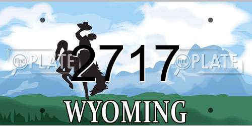 2717 Wyoming License Plate
