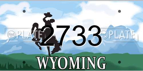 2733 Wyoming License Plate