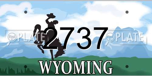 2737 Wyoming License Plate