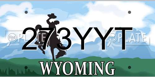273YYT Wyoming License Plate
