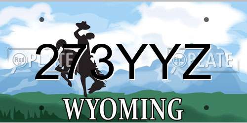 273YYZ Wyoming License Plate