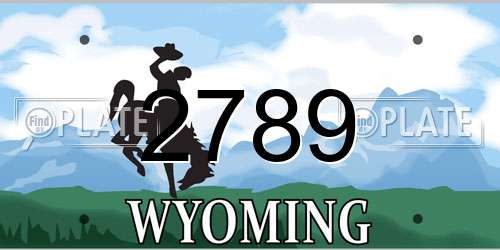 2789 Wyoming License Plate