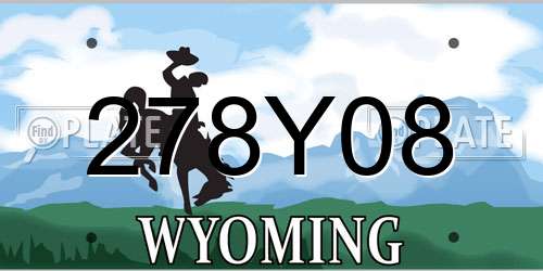 278Y08 Wyoming License Plate