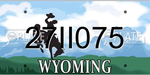 27II075 Wyoming License Plate