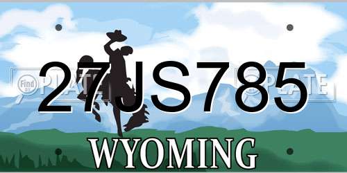 27JS785 Wyoming License Plate