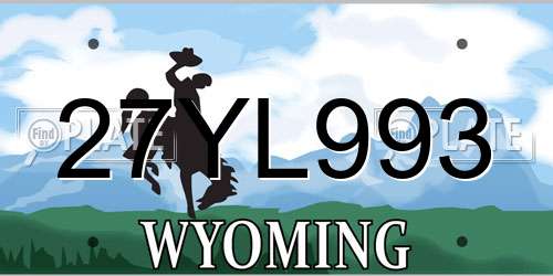 27YL993 Wyoming License Plate