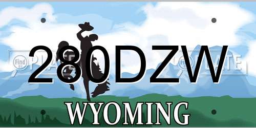 280DZW Wyoming License Plate