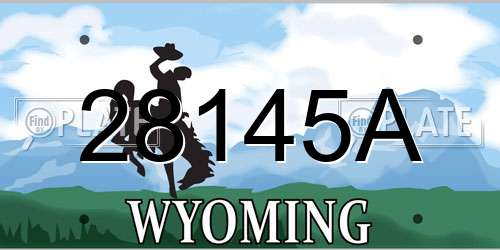 28145A Wyoming License Plate