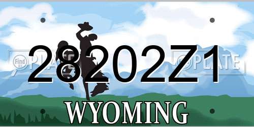 28202Z1 Wyoming License Plate