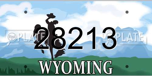 28213 Wyoming License Plate