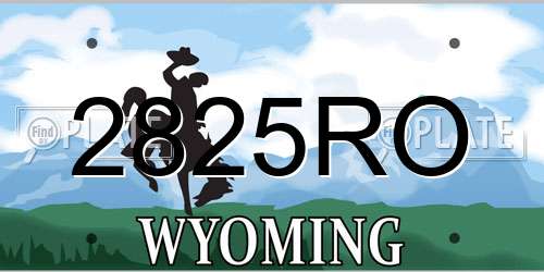 2825RO Wyoming License Plate