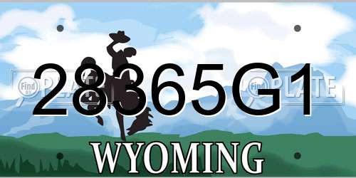 28365G1 Wyoming License Plate