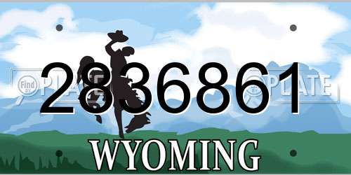 2836861 Wyoming License Plate