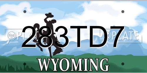 283TD7 Wyoming License Plate